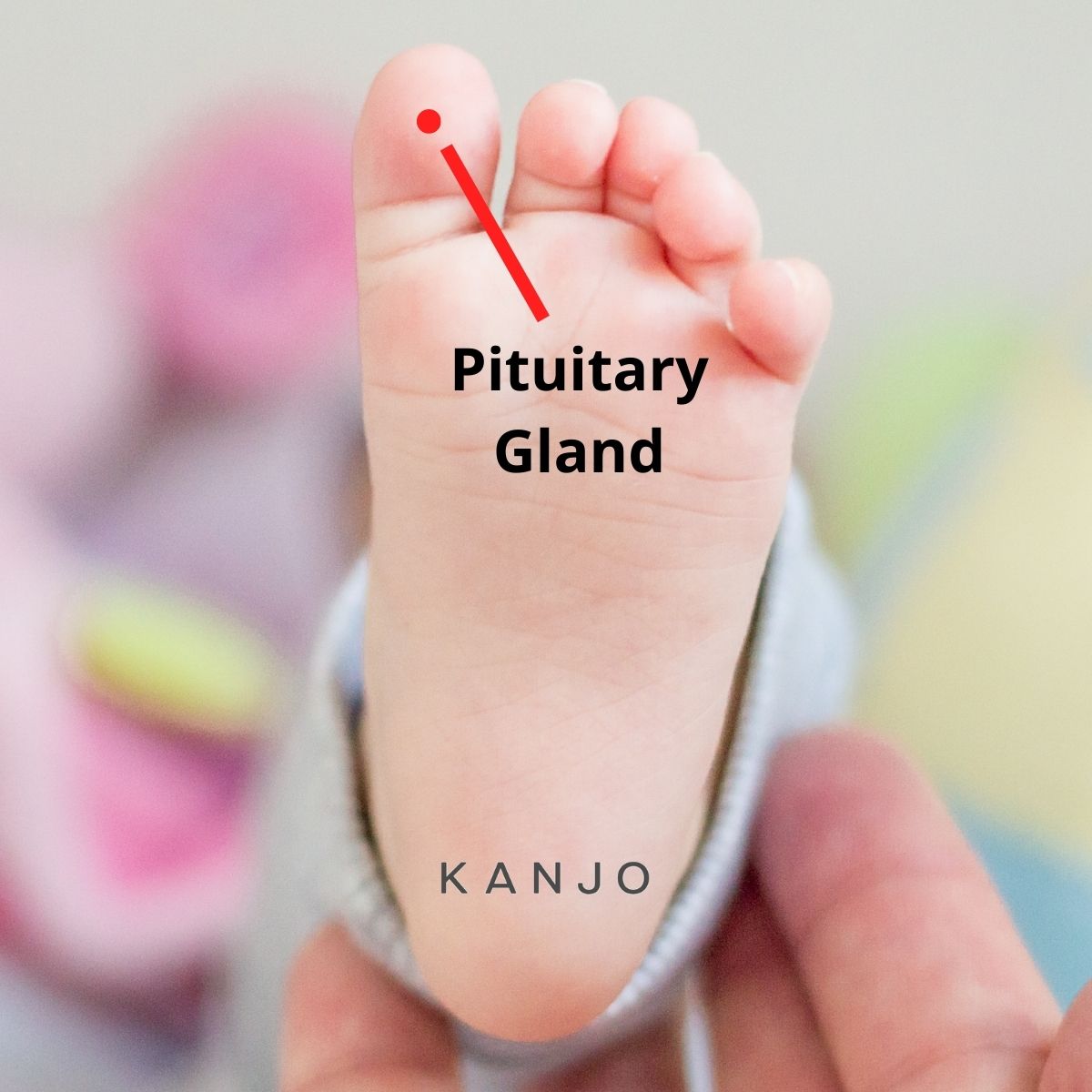 Pressure Point for Pituitary Gland