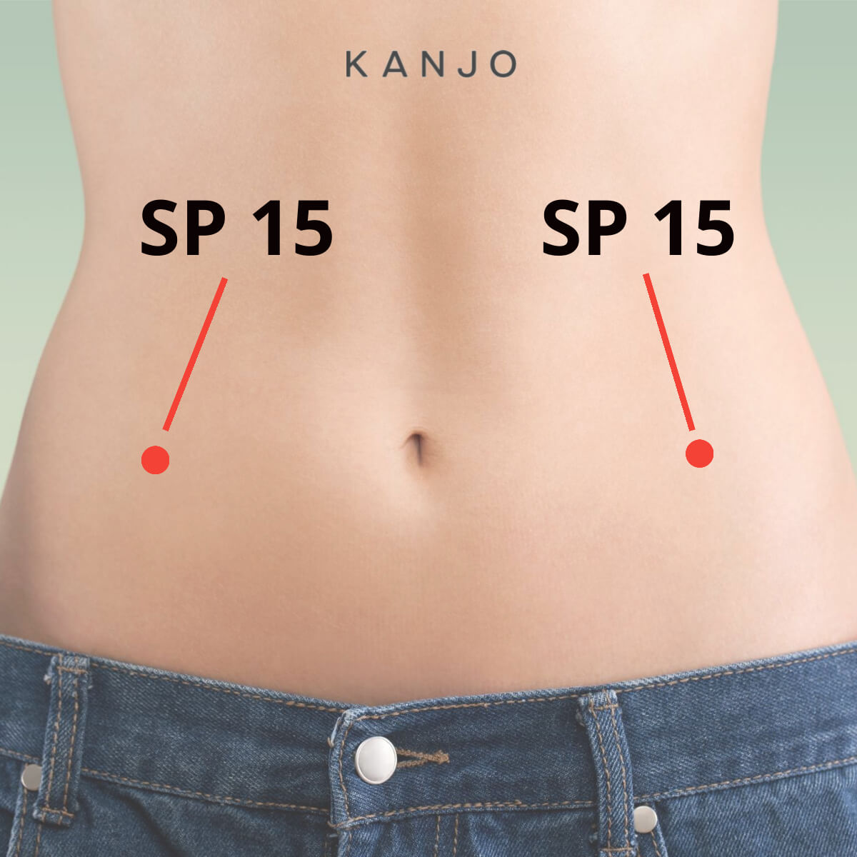 Spleen 15 (SP 15) Pressure Points