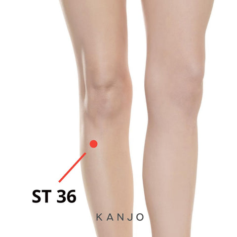 Stomach 36 (ST 36) Pressure Points