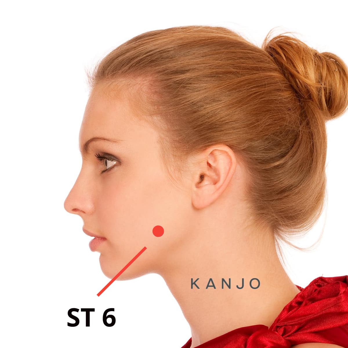 Stomach 6 (ST 6) Pressure Point