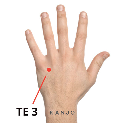 Triple Energizer 3 (TE 3) Pressure Point