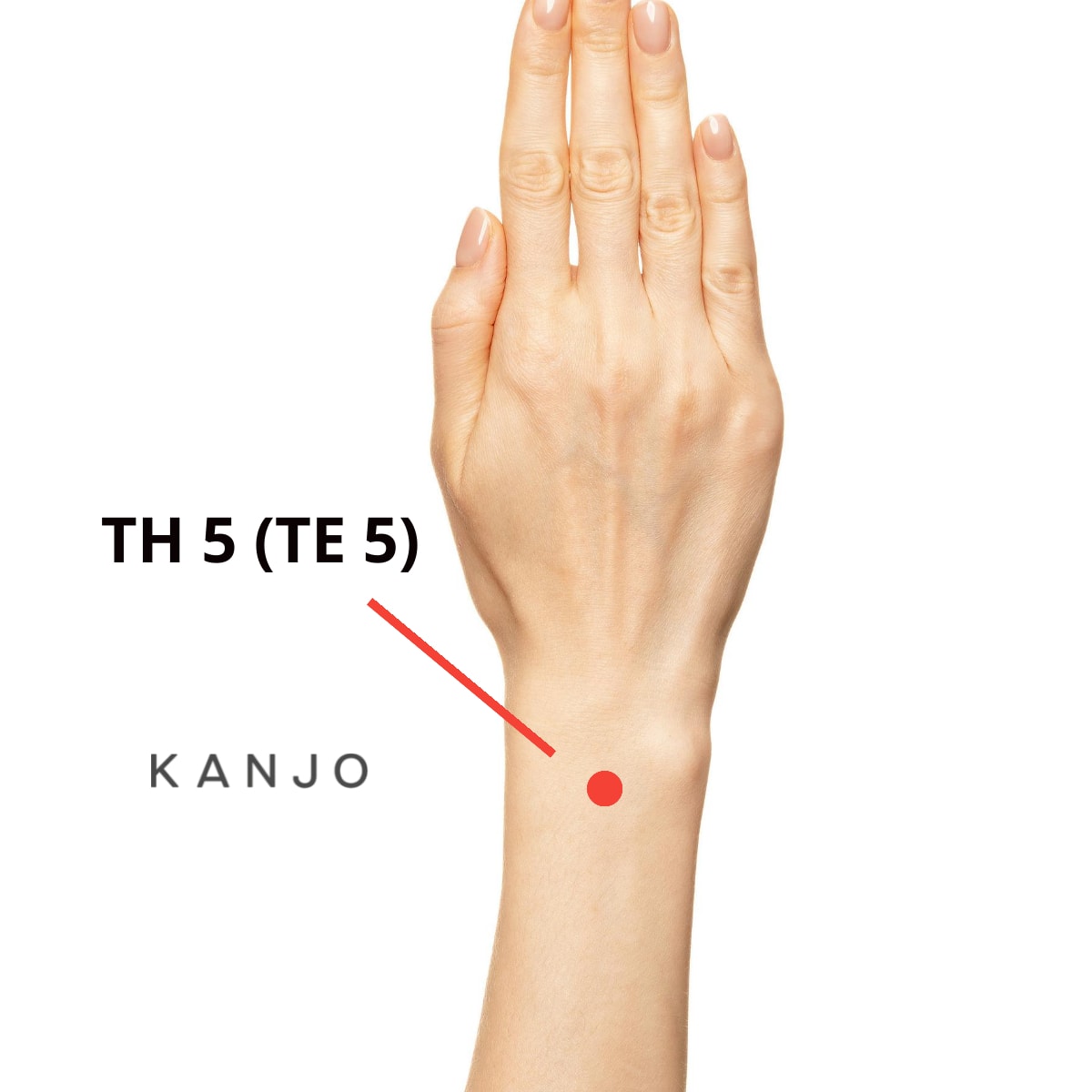 Triple Energizer 5 (TE 5, TH 5, or TB 5) Pressure Point