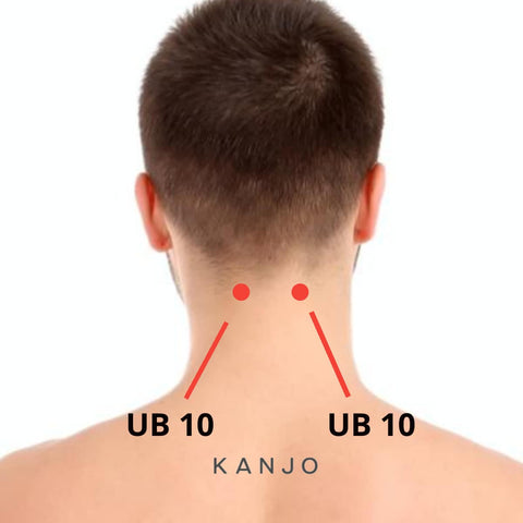 Urinary Bladder 10 (UB 10) - Heaven's Pillar