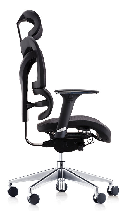 ergonomic chair sciatica