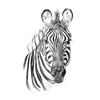 Led Wandbild Bleistiftzeichnung Zebra Hochformat Motivvorschau
