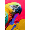 Led Wandbild Federn Papagei Hochformat Motivvorschau