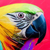 Led Wandbild Federn Papagei Hochformat Zoom