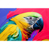 Led Wandbild Federn Papagei Querformat Motivvorschau