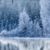 Led Wandbild Frostiger Wald Panorama Zoom
