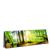 Led Wandbild Idyllischer Wald Bei Sonnenaufgang Panorama Produktvorschau Seitlich