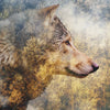 Led Wandbild Wolf Wald No 2 Hochformat Zoom