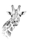 Xxl Wandbild Bleistiftzeichnung Giraffe Hochformat Crop
