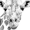 Xxl Wandbild Bleistiftzeichnung Giraffe Hochformat Zoom