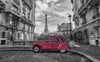 Xxl Wandbild Ente In Paris Panorama Crop