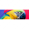 Xxl Wandbild Federn Papagei Panorama Motivvorschau
