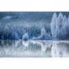 Xxl Wandbild Frostiger Wald Querformat Motivvorschau