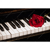Xxl Wandbild Klavier Rose Querformat Motivvorschau