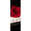 Xxl Wandbild Klavier Rose Schmal Motivvorschau