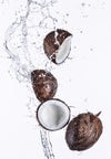Xxl Wandbild Kokosnuesse Mit Wasserspritzer Schmal Crop