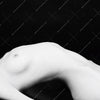 Xxl Wandbild Nacktheit In Schwarzweiss Quadrat Motivvorschau