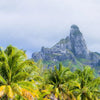 Xxl Wandbild Palmen Berg Auf Insel Querformat Zoom