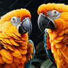 Xxl Wandbild Papageien Auf Einem Ast Hochformat Zoom