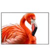 Xxl Wandbild Rosa Flamingo Querformat Produktvorschau Frontal