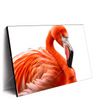 Xxl Wandbild Rosa Flamingo Querformat Produktvorschau Seitlich