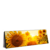 Xxl Wandbild Sonnenblumen Im Abendlicht Panorama Produktvorschau Seitlich