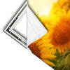 Xxl Wandbild Sonnenblumen Im Abendlicht Quadrat Materialvorschau