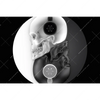 Xxl Wandbild Totenkopf Yin Yang Querformat Motivvorschau