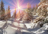 Xxl Wandbild Verschneiter Wald Panorama Crop