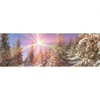 Xxl Wandbild Verschneiter Wald Panorama Motivvorschau