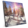 Xxl Wandbild Verschneiter Wald Quadrat Produktvorschau Seitlich