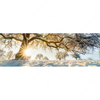 Xxl Wandbild Verzauberte Winterlandschaft Panorama Motivvorschau