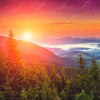 Xxl Wandbild Wald Bei Sonnenuntergang Hochformat Zoom