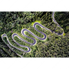 Xxl Wandbild Wald Strasse Luftaufnahme Querformat Motivvorschau