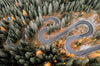 Xxl Wandbild Wald Strasse Von Oben Panorama Crop