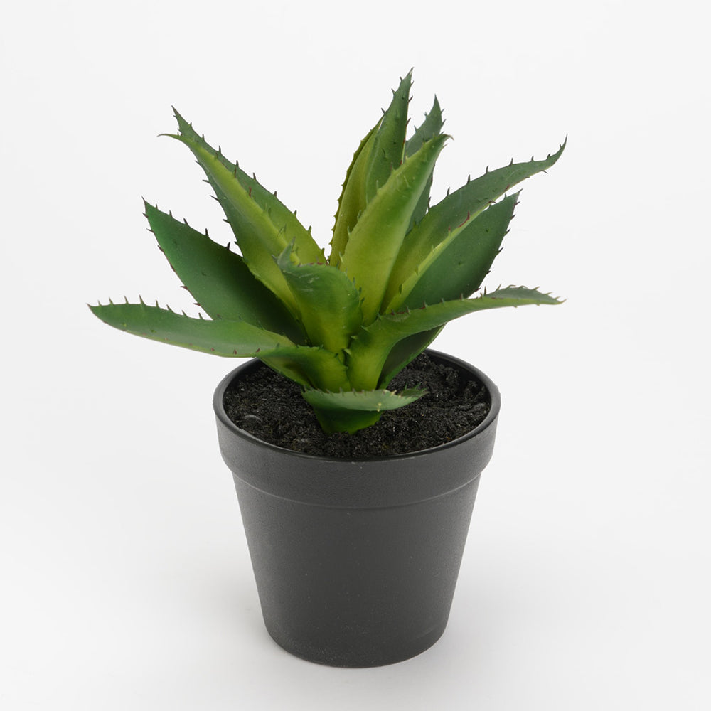 Fausse plante Aloe Vera 22 cm : plante artificielle Aloe Vera – The Inside  Shop