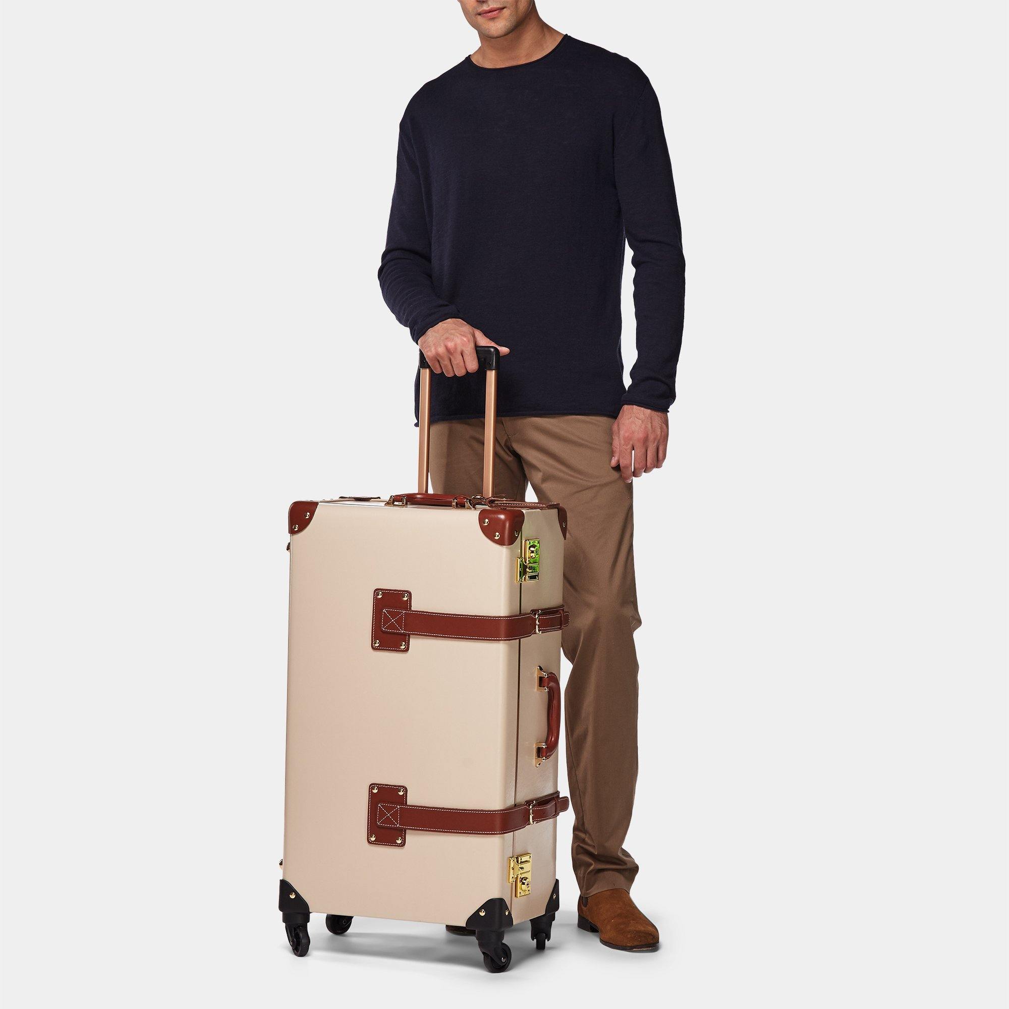 The Illustrator - Pink Check In Spinner – Steamline Luggage