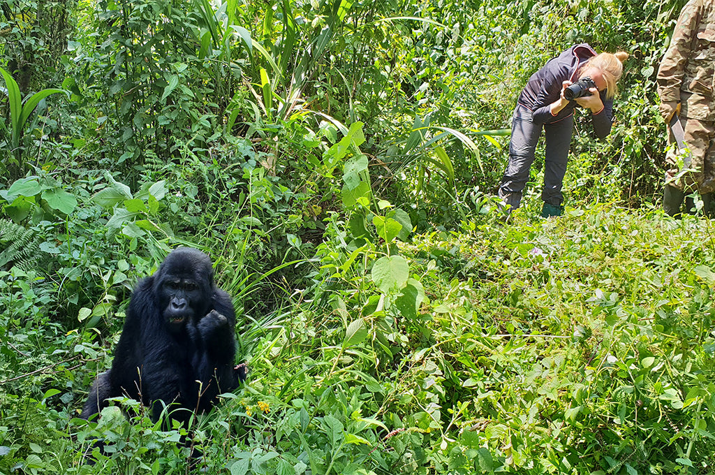 Perrin on a gorilla trek in the Impenetrable National Park of Bwindi, Uganda.