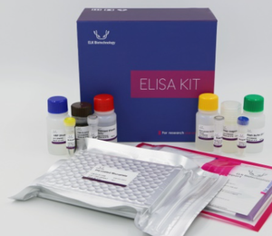 Human VMAT2 (Vesicular Monoamine Transporter 2) ELISA Kit