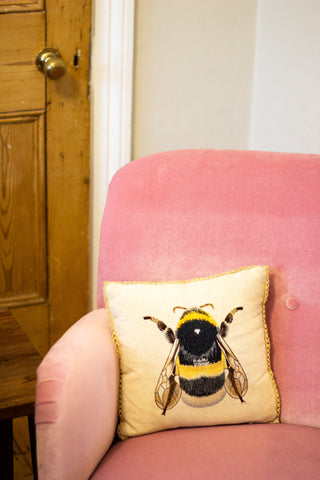 Pink Velvet Armchair Victorian Door