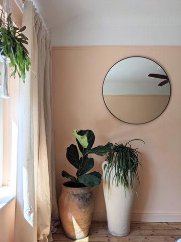 Elio pale peach emulsion paint by COAT paints