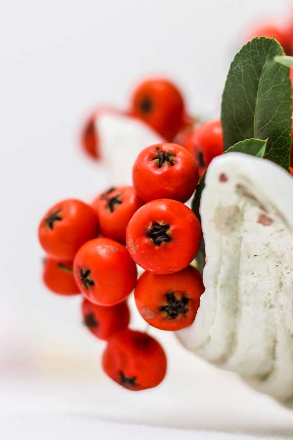 Red-Berries-600x900