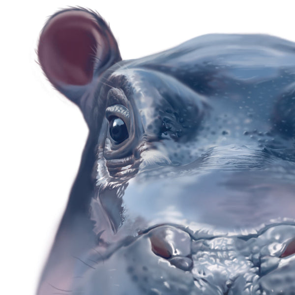 dear-bon-vivant-hippo-detail-poster-im-rahmen-mit-passepartout-artlia