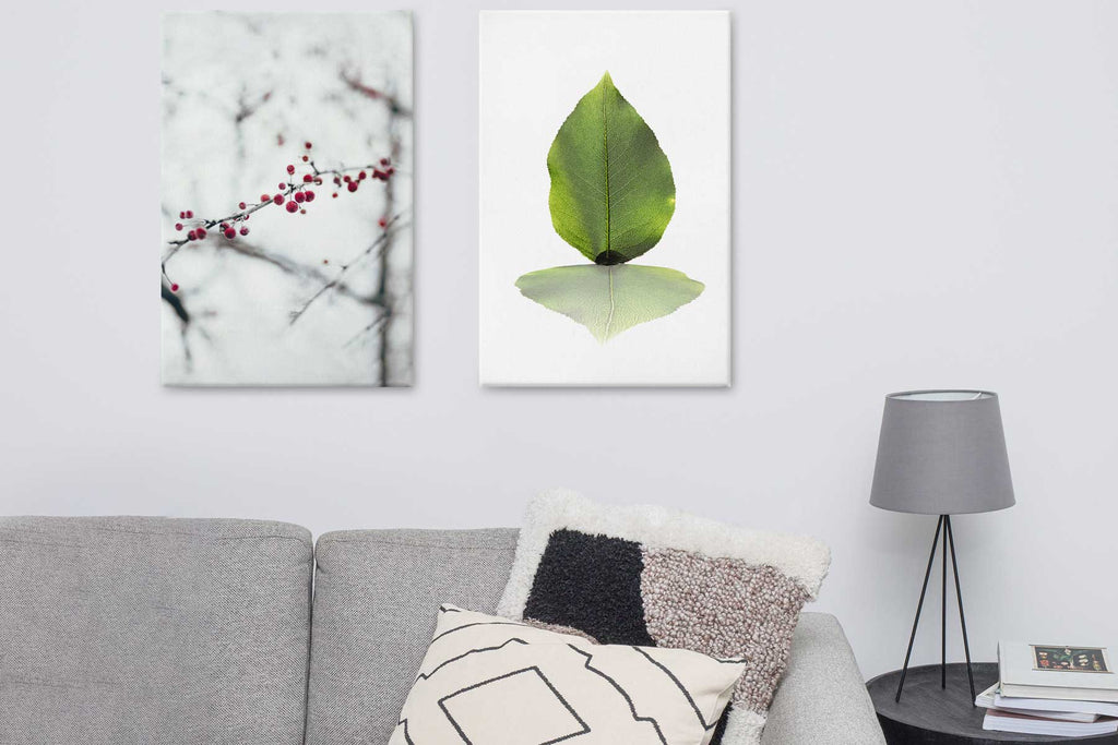 green-leaf-gruenes-blatt_1800x1200