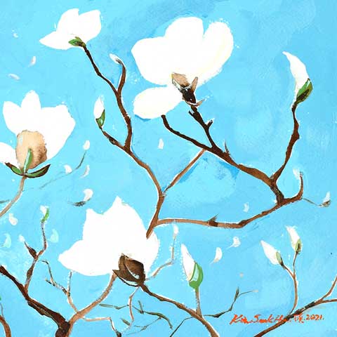 A Thousand, Shiny Magnolia - Seokheekim