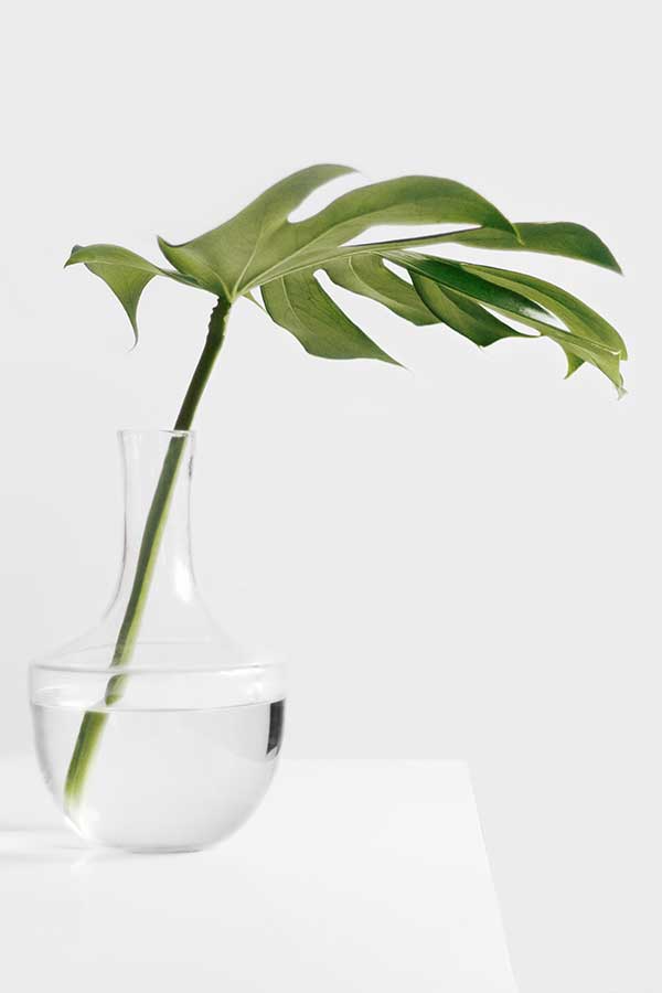palm-in-vase-artlia-600x900
