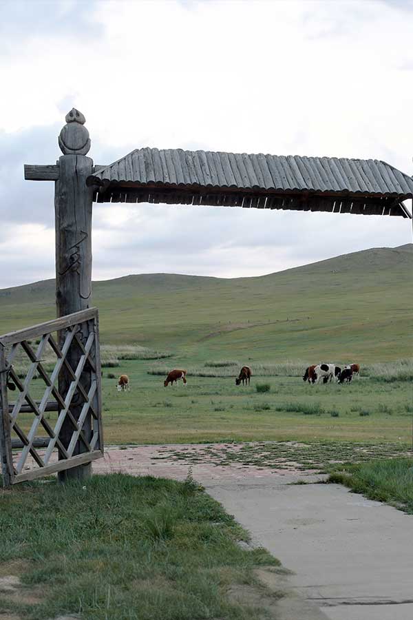 the-gateway-to-the-steppes-of-mongolia-artlia